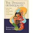 The Dynamics of Inequality: Race, Class, Gender, and Sexuality in the United States by Patricia Gagne and Richard Tewksbury
