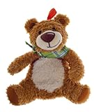 Fashy Microwavable Warmer Hot Water Bottle Bear with Scarf