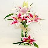 Unforgettable Lilies