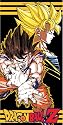 Dragon Ball Z Goku Beach Towel