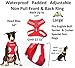 Dexil Limited Caution (Do Not Approach) Red Color Coded Non-Pull Front and Back D Ring Padded and Waterproof Vest Dog Harness Prevents Accidents by Warning Others of Your Dog in Advance (L)