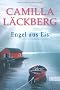 Engel aus Eis