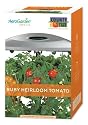 AeroGarden 6 Pod Ruby Heirloom Tomato Seed Kit for Tall Gardens 800541 0200