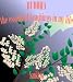 Books : Buddha - The Essential Teachings in My Life