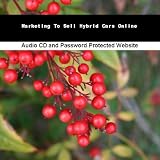 Marketing To Sell Hybrid Cars Online