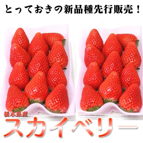 栃木県産　スカイベリー　デラックスタイプ　約300g×2パック　　【期待の新品種をお試し価格でご奉仕！】