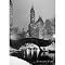 New York Poster - Central Park (24x36")