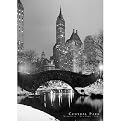 New York Poster - Central Park (24x36")