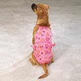 51yrUHPs2JL. SL160  casual suits|Casual Canine Fruit Bowl Bathing Suit Xsm