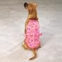 Casual Canine Fruit Bowl Bathing Suit Xsm