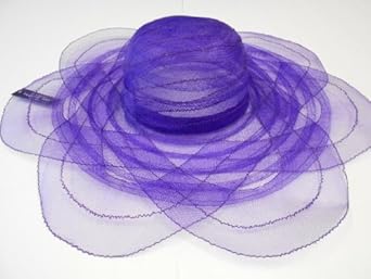 Wide Brim Poly Braid Fashion Hat / Purple / Red Hat Lady Society