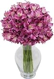 Deluxe Purple Peruvian Lilies 150 Blooms with Hourglass Vase