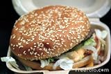 Mysterious Allergy to Beef 51yrnqjRY0L. SL160 Mysterious Allergy to Beef