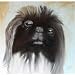 25 Pack Pekingese Note Cards by Dick Larsen