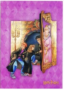 Amazon.com : Harry Potter Gryffindor Fat Lady Portrait 'Congratulations ...