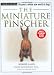 The Miniature Pinscher (Terra Nova Series)