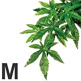 ���i�̏ڍ�