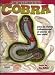 Al descubierto: Una cobra: Uncover a Snake (Al descubierto)