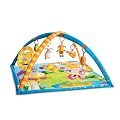 East Coast Nursery Tiny Love Gymini Animal Concert