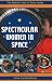 Spectacular Women In Space (The Womens Hall of Fame Series)
