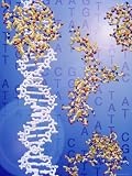 Dna Helix, Proteins, with Genetic Code in Background Photographic Poster Print by Jacob Halaska, 36x48