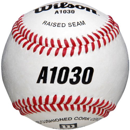 ''Wilson 3 Dozen A1030 Baseballs in a Bucket'' Review KellyNAmeliawob