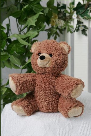 51ysaWZtGtL Caramel Bear 8   Make Your Own Stuffed Animal Kit