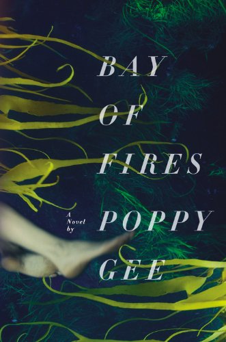 bay of fires a novel