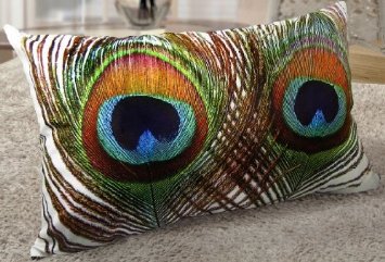 Fablegent Elegant Decorative Throw Pillow Cover - Rectangular Peacock Feather Fashion Design on Both Sides - Soft Velvet Fabric - XH100