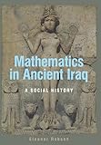 Mathematics in ancient Iraq : a social history