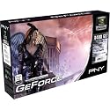 PNY Technologies nVIDIA GeForce 8400GS Graphics Card - 512MB, PCI, VGA/DVI-I