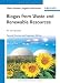 Biogas from Waste and Renewable Resources: An Introduction