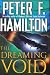 The Dreaming Void (Void Trilogy, Book 1)