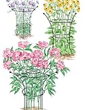 Essex Plant Support, Large