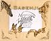 Basenji Laser Engraved Photo Dog Matte 12 X 18