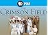 The Crimson Field Season 1