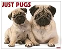 Just Pugs 2010 Calendar