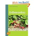 Erdbeeranbau