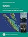 Book Sumatra: Geology, Resources and Tectonic Evolution (Geological Society Memoirs)