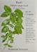 Large Leaf Italian Basil Heirloom Seeds