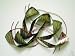 Ribbon Style Abstract Contemporary Art Sculpture