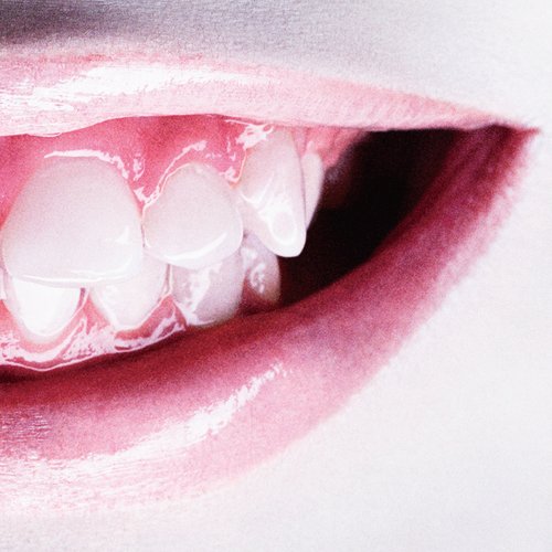 ヴィーナス(完全生産限定盤) 女王蜂