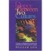Dance Between Two Cultures: Latino Caribbean Literature Written in the United States