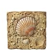 Fan Shell Stepping Stone and Wall Plaque