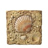 Fan Shell Stepping Stone and Wall Plaque