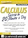 Calculus Success in 20 Minutes a Day