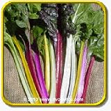 Swiss Chard Seeds - 'Rainbow' Vegetable Seed Packet (300 ... thumbnail