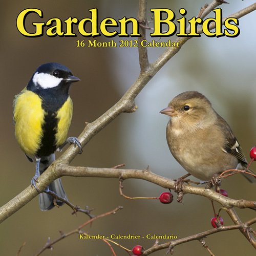 Garden Birds 2012 Wall Calendar #30287-12