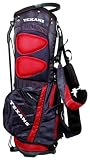 NFL Houston Texans Stand Golf Bag (14 Way Dividers)