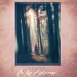 The Fire of Glenvore